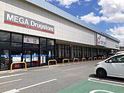 【ドラッグストア】カワチ薬品小瀬店まで1100ｍ