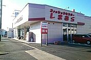 ファッションセンターしまむらまで550ｍ