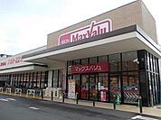 【スーパー】マックスバリュー岐阜元町店まで750ｍ