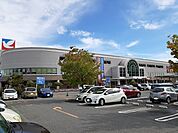 【ショッピングセンター】イトーヨーカドー甲府昭和まで1200ｍ