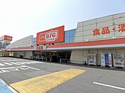 【スーパー】ザ・ビッグエクストラ岐阜池田店まで2100ｍ