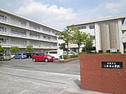 【小学校】二本木小学校まで226ｍ