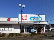 【ドラッグストア】ウエルシア越生店まで1200ｍ