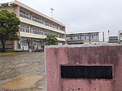 【小学校】市立中の島小学校まで500ｍ