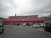 【ドラッグストア】ウインダーランド高部店まで802ｍ