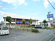 【ホームセンター】Life　Design　Pion清水店まで1040ｍ
