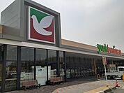 【スーパー】ヨークベニマル友部東平店まで1504ｍ