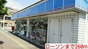 【コンビニエンスストア】ローソンまで260ｍ