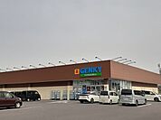 【ドラッグストア】ゲンキー西幡豆店まで1300ｍ