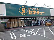 【ホームセンター】セキチュー安中店まで550ｍ