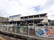 【ホームセンター】コーナン足立扇店まで608ｍ