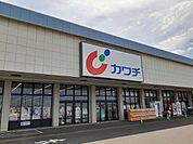 【ドラッグストア】カワチ薬品藤代店まで260ｍ