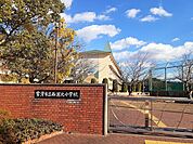 【小学校】常滑市立西浦北小学校まで540ｍ