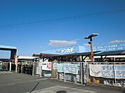 【ホームセンター】ミスタートンカチ江場店まで1200ｍ