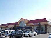 【スーパー】ストッカー 土浦田中店まで1050ｍ