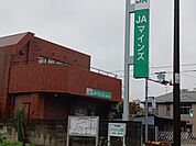 【銀行】ＪＡマインズ上和泉支店まで600ｍ