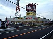 【ドラッグストア】スギ薬局柏豊四季店まで1213ｍ