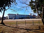 【小学校】市原市立若宮小学校まで550ｍ