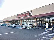 【スーパー】とりせん細谷店まで1300ｍ