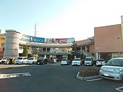 【ショッピングセンター】ウニクス伊奈まで900ｍ