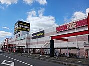 メガドンキホーテまで1100ｍ