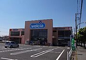 【ドラッグストア】ウェルシア市原国分寺台店まで750ｍ
