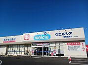【ドラッグストア】ウェルシア香取佐原店まで700ｍ