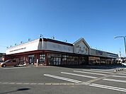 【スーパー】遠鉄ストア大平台店まで1124ｍ