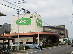 [周辺] 【スーパー】コープ武蔵浦和店まで438ｍ