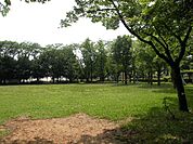 【公園】かきの木公園まで10ｍ