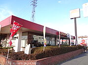 【その他】ガスト上尾柏座店まで724ｍ