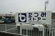 【スーパー】たつみストアー二川店まで553ｍ