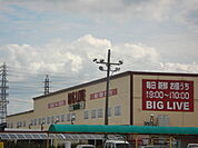 【スーパー】BIGLIVE小牧店まで1268ｍ