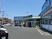【レンタルビデオ】TSUTAYA志津店まで1233ｍ