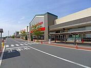 【スーパー】パワーモールおおたまで1100ｍ