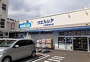【ドラッグストア】ウエルシア寿町店まで130ｍ