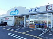 【ドラッグストア】ウエルシア守谷ひがし野店まで550ｍ
