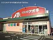 【ドラッグストア】クスリのアオキ円城寺店まで900ｍ
