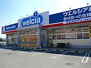 【ドラッグストア】ウエルシア前橋上新田店まで750ｍ