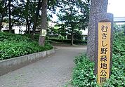 【公園】むさし野緑地公園まで950ｍ
