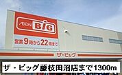 【スーパー】ザ・ビッグ藤枝田沼店まで1300ｍ