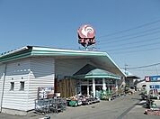 【ホームセンター】コメリまで290ｍ