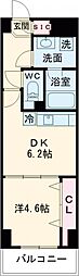 ジニア新宿中落合 地下1階1DKの間取り