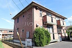 ワカシバウィルモア