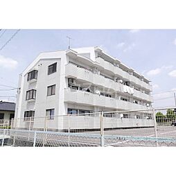 ホワイトウィング大野