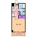 ウィンズ杉5階6.2万円