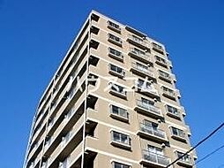 コーポレート船堀 803