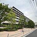 京急本線 立会川駅 徒歩5分の賃貸マンション