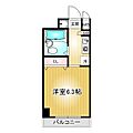 第30プロスパー泉8階3.9万円