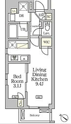 アジールコート松濤 11階1LDKの間取り